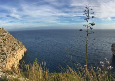 Panoramic Malta Tour